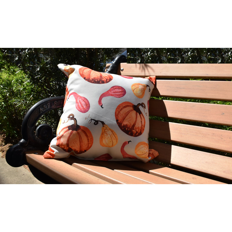 Bigner Gourds Galore Fall Outdoor Square Pillow Cover & Insert, 16" x 16", Light Green