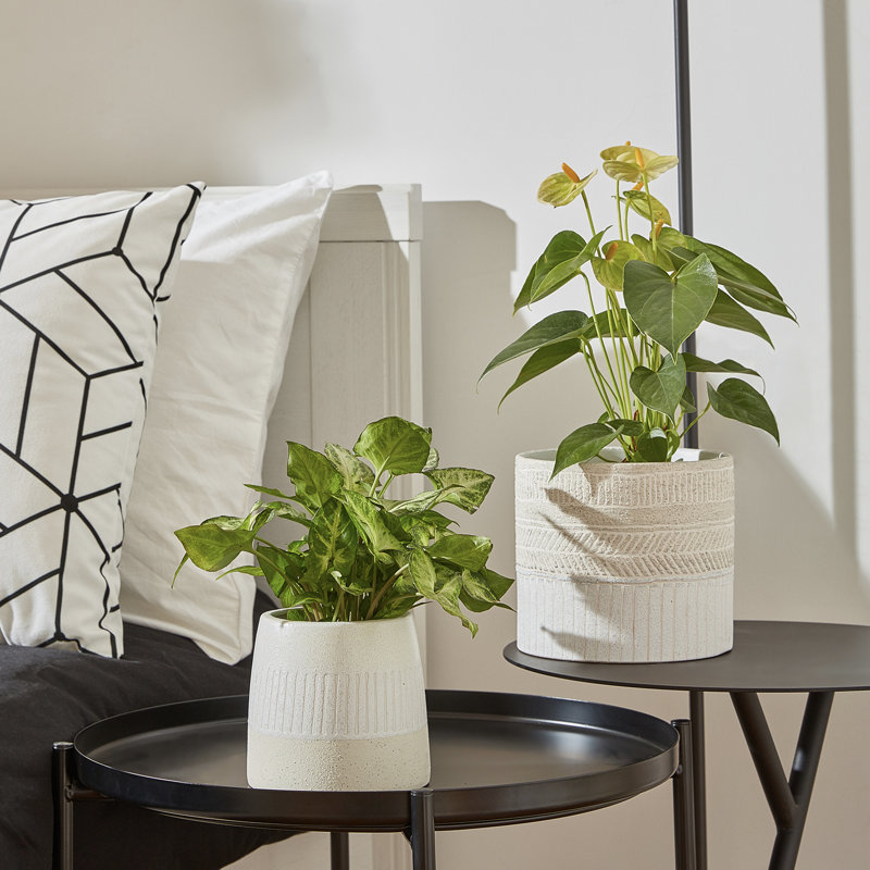 Ceramic Pot Planter