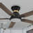 52'' Smart Ceiling Fan with Remote Control and Light Kit Included-71418179