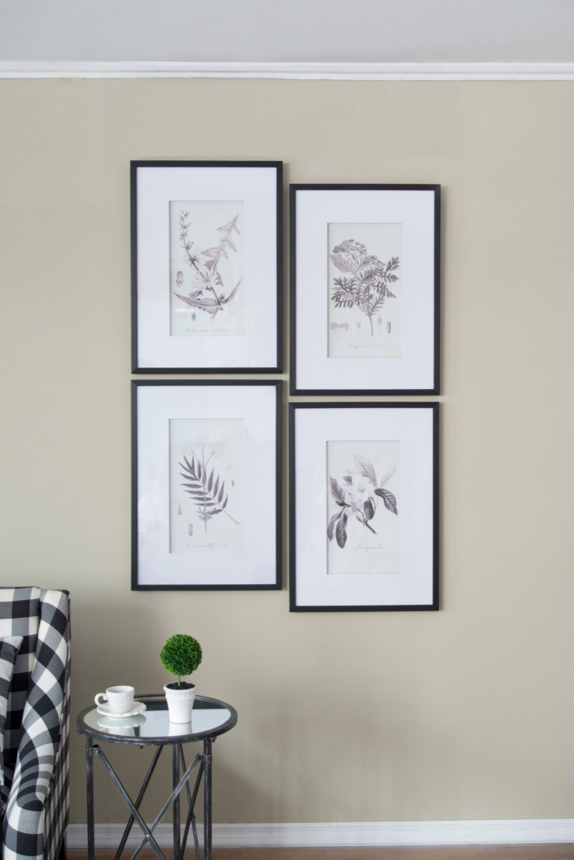 Red Barrel Studio® Botanical Framed On Plastic 4 Pieces Print | Wayfair