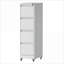 Armoires | Classeur vertical en métal robuste à 4 tiroirs avec roulettes verrouillables pour la maison Bureau | Moderne | Blanc cassé