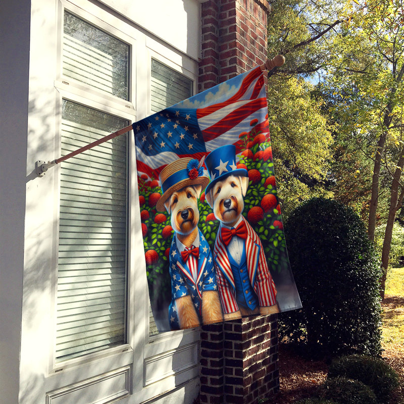 Drapeau «All American House», Terrier irlandais
