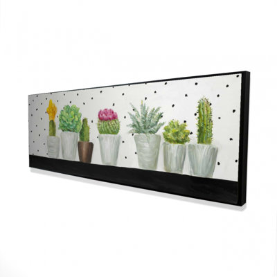 " Mini Cactus And Succulents "