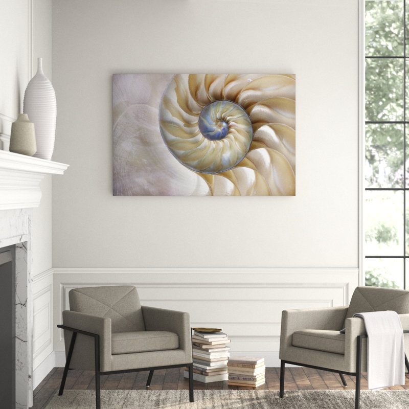 Sea Shell Swirl Print, 40" H x 60" W x 1.5" D
