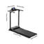 Steel；PP Sports Rack