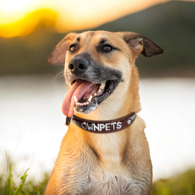 Adjustable Microfiber Leather Personalized Dog Collar