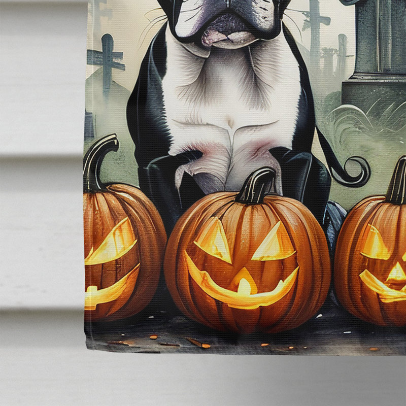 Drapeau de la maison d'Halloween terrier de Boston