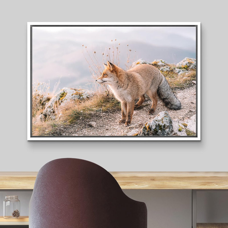 Animaux, montagne, vallée, campagne, renard roux sur toile, H 24 po x l 36 po x P 1,5 po, Cadre blanc