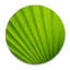Green Palm! Print by DecorumBY-46773938-46773940