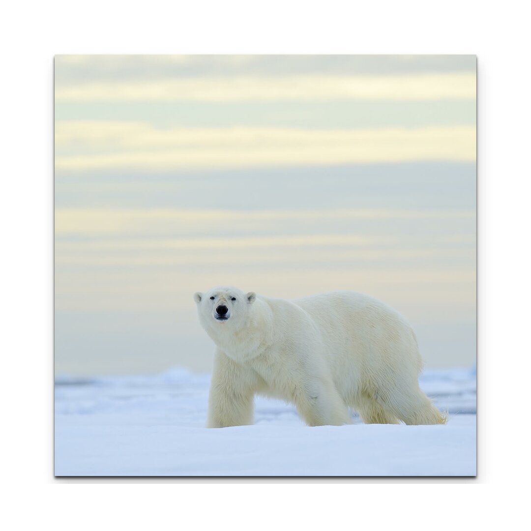 Leinwandbild Eisbär im Schnee