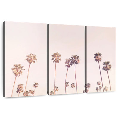 Gillard Sunny Cali Palm Tress