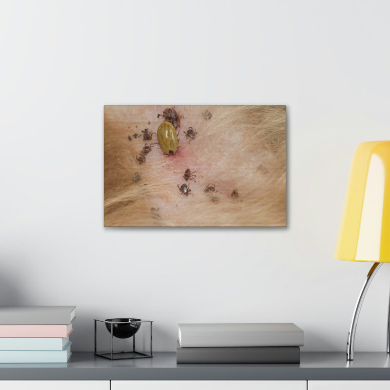 No Frame Print on Canvas, 14cm H x 11cm W