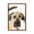 Classic Wood Framed is unavailable