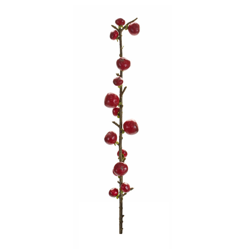 Berry Spray
