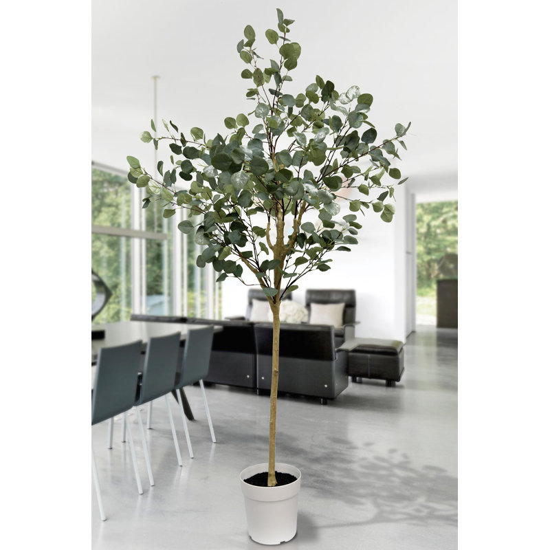 70'' Potted Silk Eucalyptus Tree in White Plastic Pot