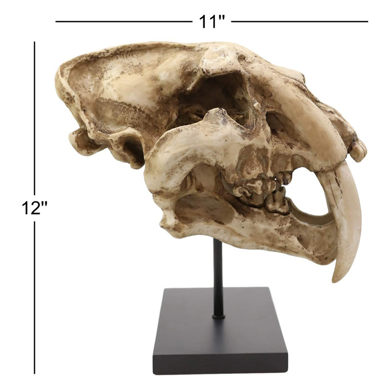 Figurine de crâne de fossile de félin tigré Sabertooth