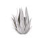 Agave Wall Sconce