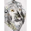Masque de lion nature sauvage