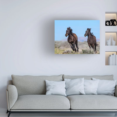 Bolog Verdon Unleashed Power Canvas Art