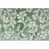 Green/Ivory