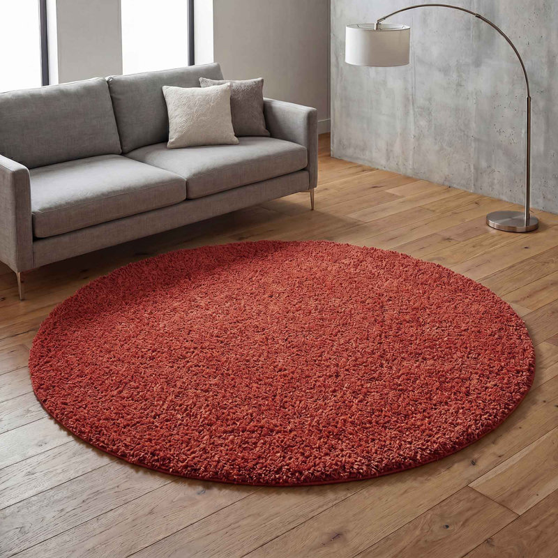 Ainsley Plain Living Room Shaggy Area Rug Modern Soft Pile Polyester Rug, Rectangle 160 x 230 cm, Terracotta