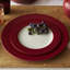 Noritake Colorwave Rim Dinner Plates, 11"-85108209