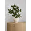 Vase Argos 14 po x 11,75 po
