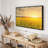 Sunset Field Canvas Print-193263508