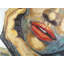 Impression sur toile Irresistible Lips