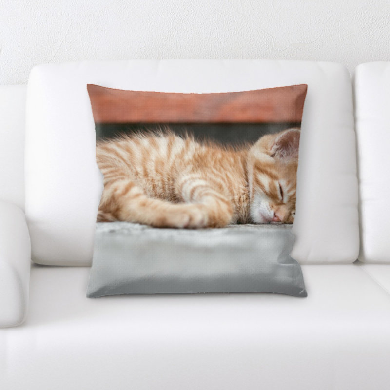 Microsuede Throw Pillow