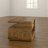 Acton Solid Wood Coffee Table with Storage