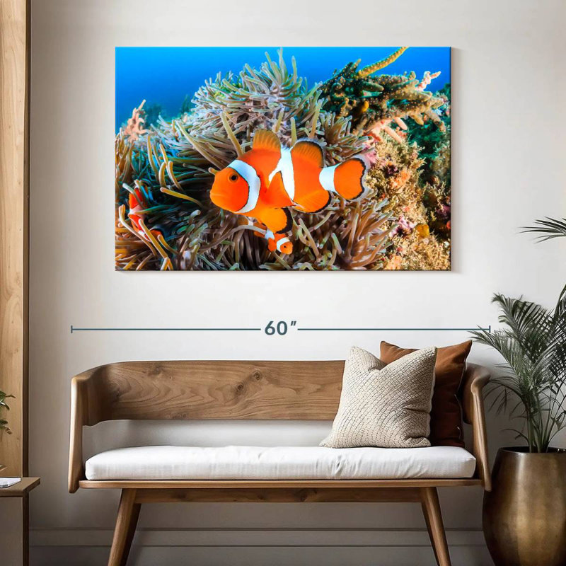 Brampt Fish Swimming
