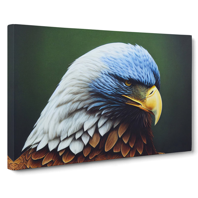 Handsome Eagle Bird - Wrapped Canvas Print, 35cm H x 50cm W x 3cm D