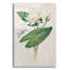 Bungalow rose «Graceful Lily» par Julia Purinton, art mural en verre acrylique-1009140525