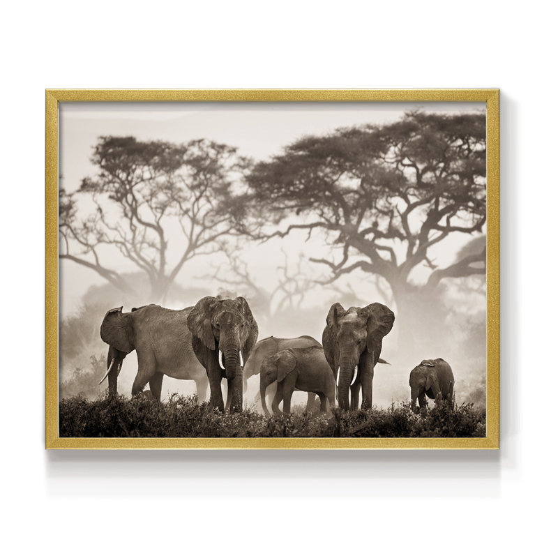 Parc national Amboseli - reproduction encadrée - réarmable, H 8 po x l 10 po, Or
