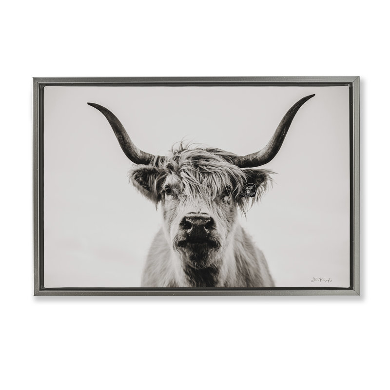Calm bovins, toile par Dakota Diener, Cadre flottant gris lustré, H 17 po x l 25 po x P 1,7 po