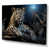 Wrapped Canvas