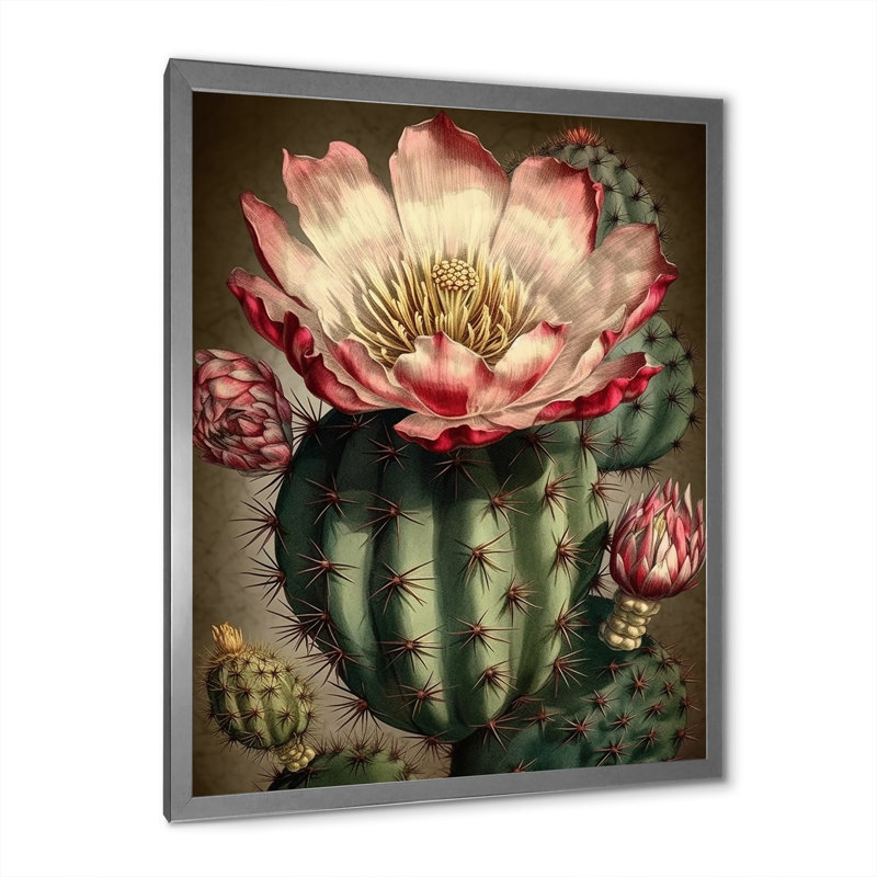 " Blossoming Cactus Flower ", 32" H x 16" W x 1" D, Silver Single Picture Framed