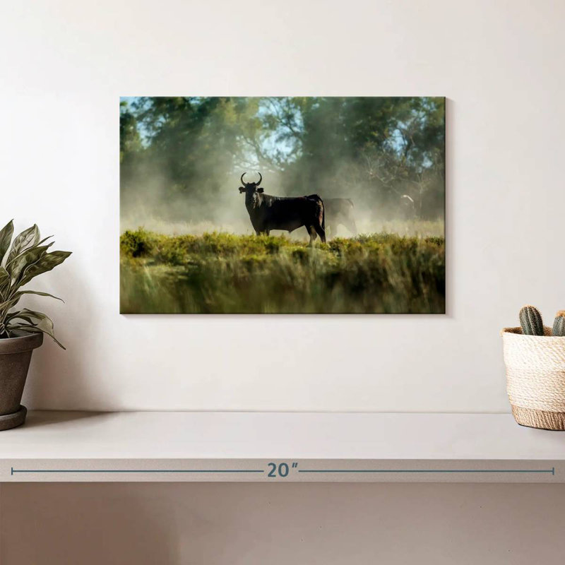 Bull In The Mist, 8" H x 12" W