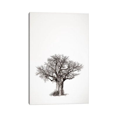 Baobab Legacy IV by Klaus Tiedge - Wrapped Canvas Print