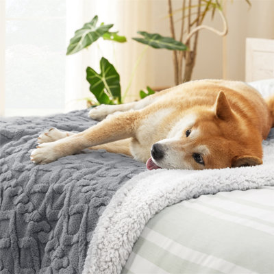 Pet Blanket