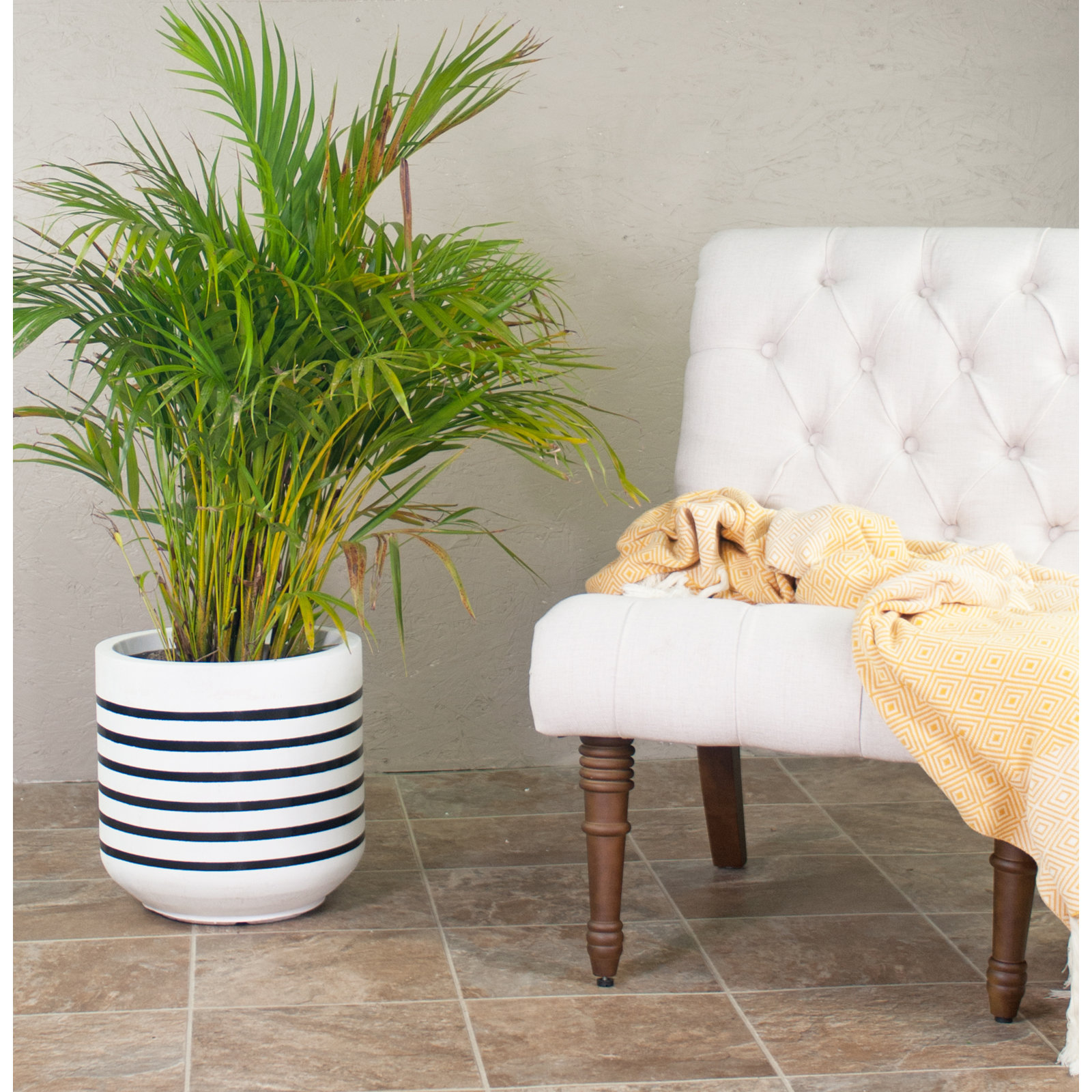 Hampden Handmade Clay Pot Planter