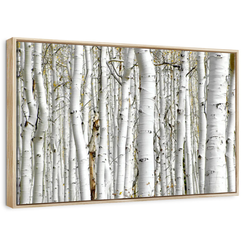 Birch Wood, Floating Frame Natural Wood, 13" X 9"