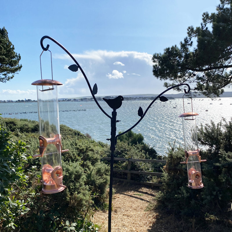 Pinney Steel Feeding Station