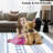 Leighla Washable Geometric Indoor Rug-1453282549