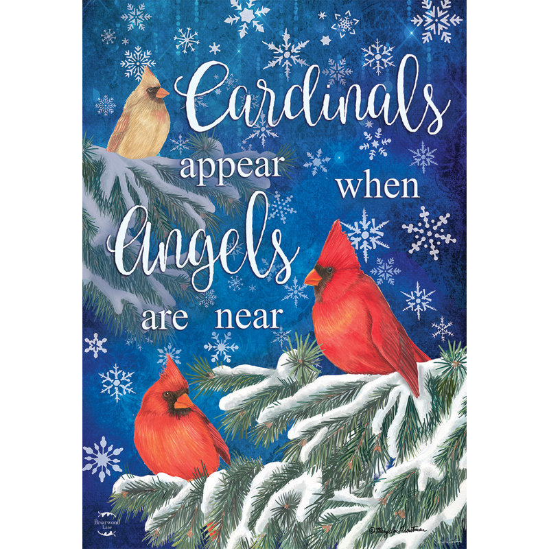 Les Cardinals arborent le drapeau du jardin d'hiver