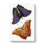 Giant Butterflies by George Shaw - Wrapped Canvas-55366343