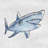 Cheeseman Great Shark Print on Wrapped Canvas-1973475100