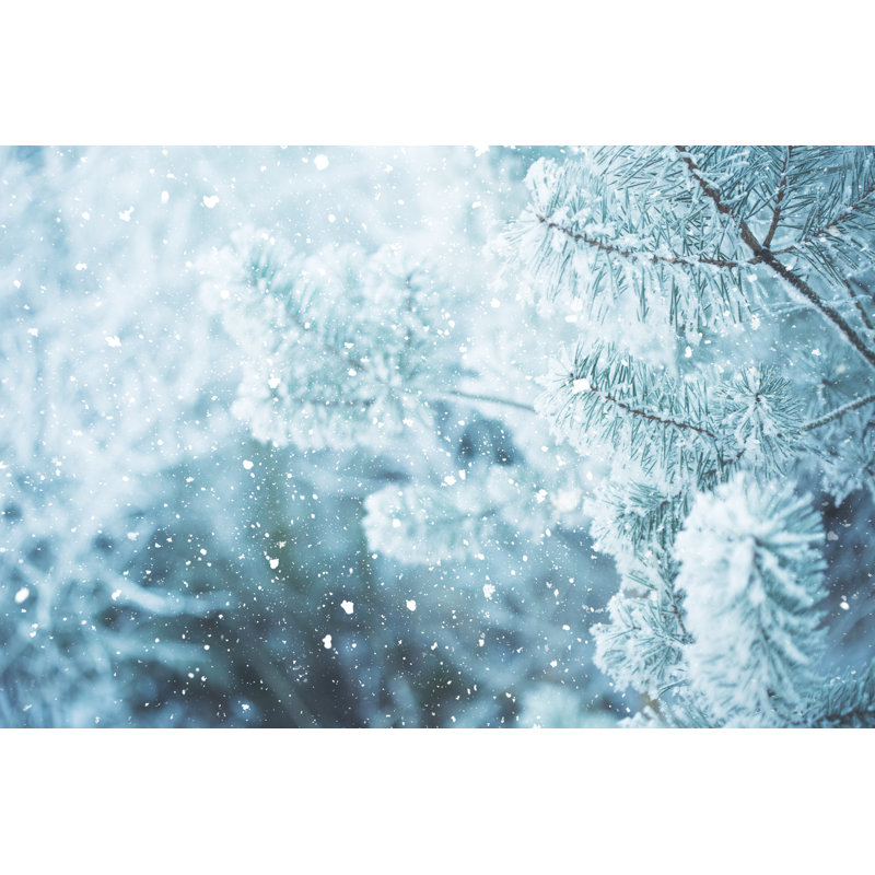Winter Scene - Frosted Pine Branches. Winter In The Woods by Andrey Danilovich - No Frame Print on Canvas, 30cm H x 46cm W