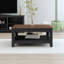 Weddel Basilico Coffee Table with Storage-2133429501